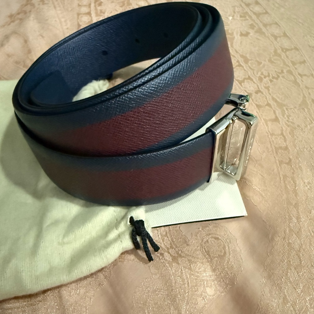 Burberry Blue and Brown Leather Shoulder Bag with Silver Hardware - Picture 3 of 13